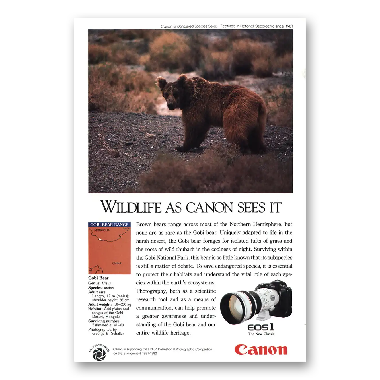 1992 Canon Camera EOS1 Gobi Bear Vintage Magazine Print Ad