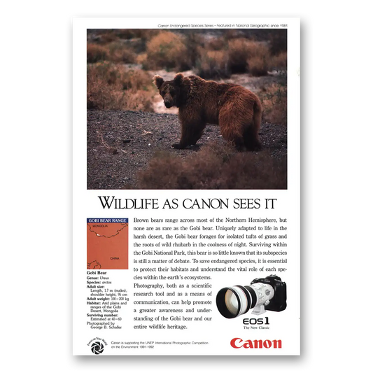 1992 Canon Camera EOS1 Gobi Bear Vintage Magazine Print Ad