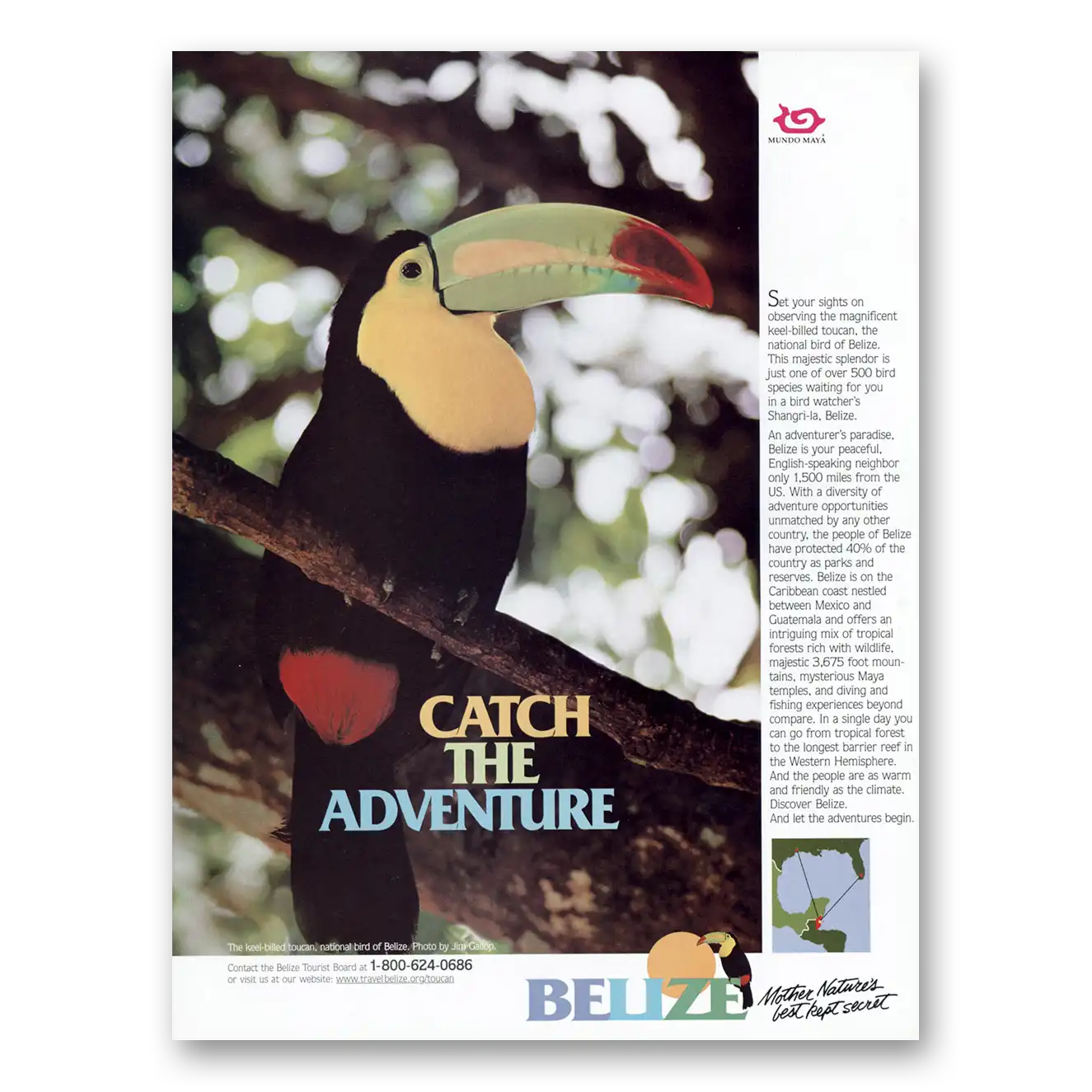 1993 Belize Catch the Adventure Vintage Magazine Print Ad