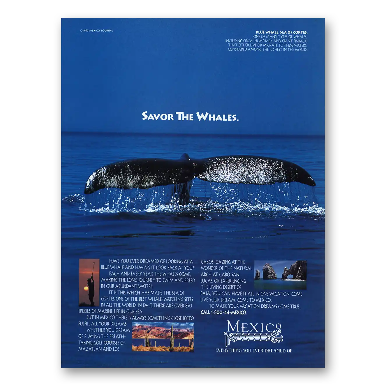 1993 Mexico Savor the Whales Vintage Magazine Print Ad