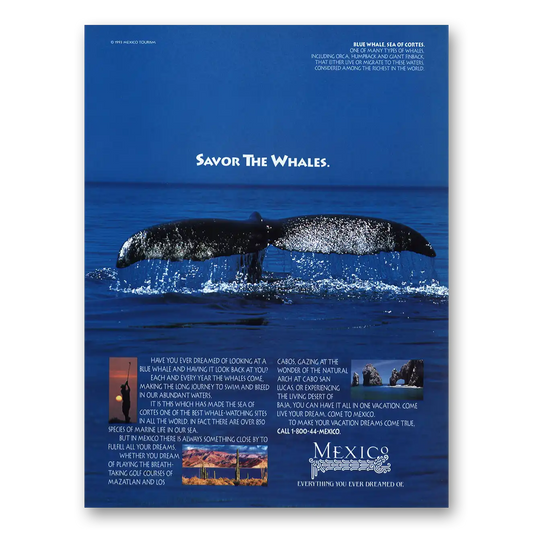 1993 Mexico Savor the Whales Vintage Magazine Print Ad