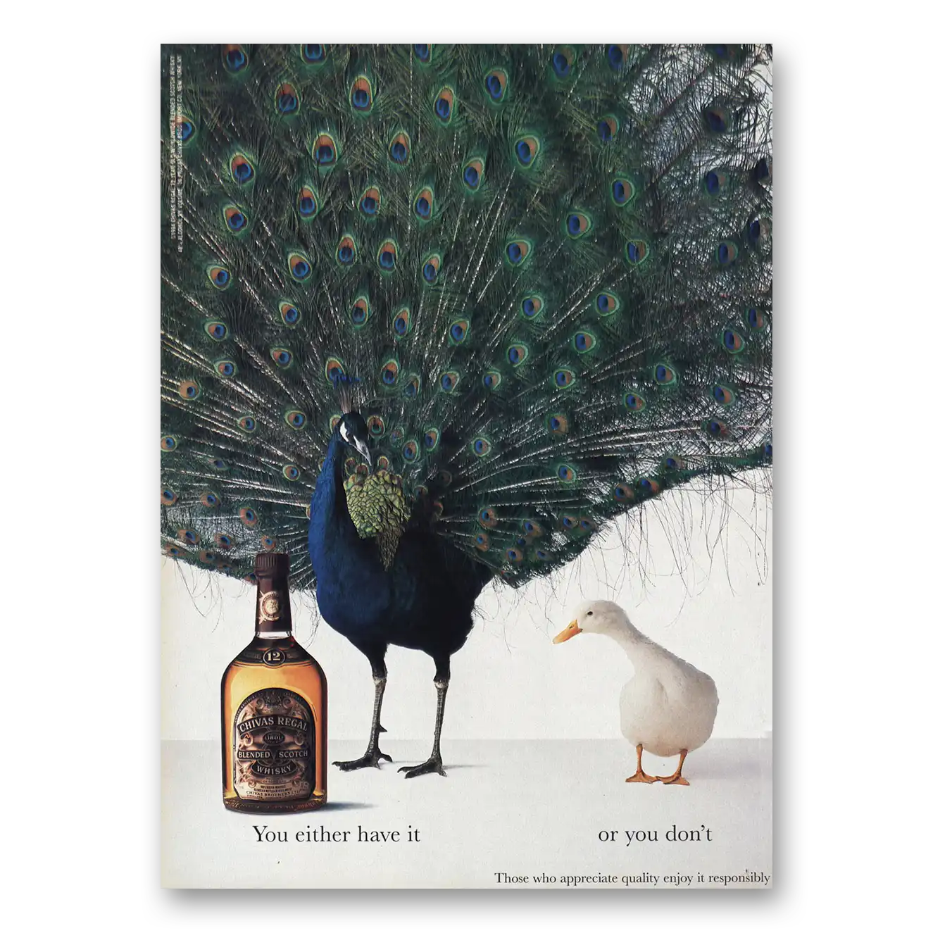 1995 Chivas Regal Peacock Either You Have It Vintage Magazine Print Ad