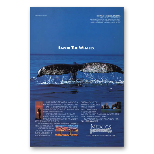 1995 Mexico Savor the Whales Vintage Magazine Print Ad