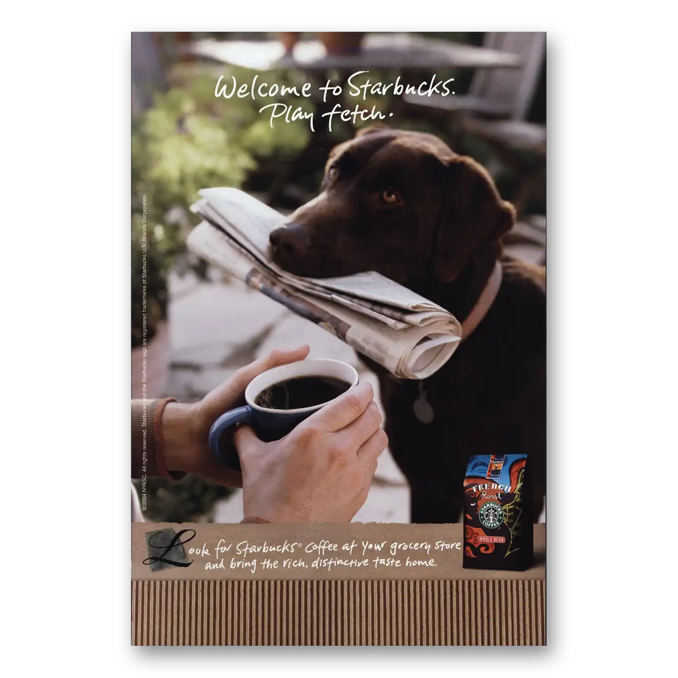 2004 Starbucks Play Fetch Chocolate Lab Vintage Magazine Print Ad