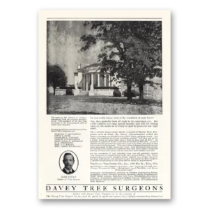 1919 Davey Tree Print Ad | Forrest F Dryden