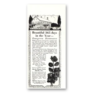1920 Elliott Nursery Print Ad | Evergreen Bittersweet