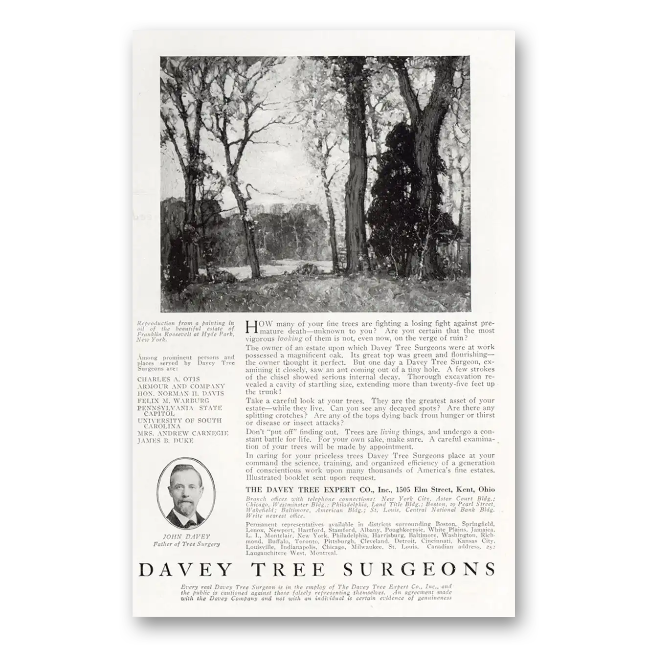1921 Davey Tree Print Ad | Fine Trees