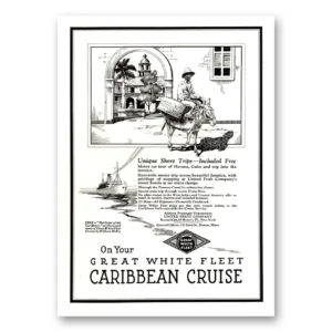 1922 Great White Fleet Print Ad | Unique