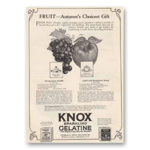 1925 Knox Gelatine Print Ad | Autumns Choicest