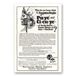 1928 Harveycar Motor Cruises Print Ad | Pu Ye