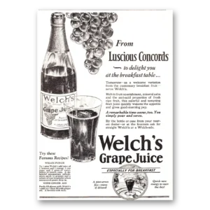 1929 Welch's Grape Juice Print Ad | Luscious Concords