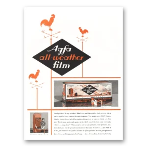 Photography + Camera