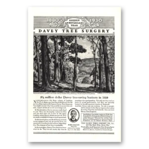 1930 Davey Tree Print Ad | Golden Anniversary