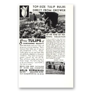 1935 Nelis Nurseries Print Ad | Tulip Bulbs