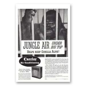 1938 Carrier Air Conditioning Print Ad | Jungle Air