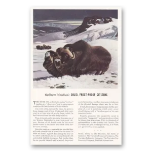 1939 Travelers Insurance Print Ad | Oviboves Moschati