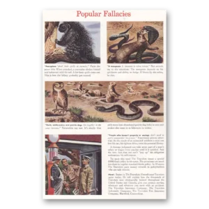 1939 Travelers Insurance Print Ad | Popular Fallacies