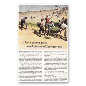 1940 Travelers Insurance Print Ad | Curious Grass
