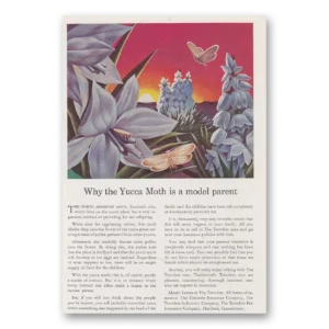 1940 Travelers Insurance Print Ad | Yucca Moth