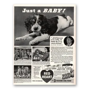 1941 Red Heart Dog Food Print Ad | Just Baby