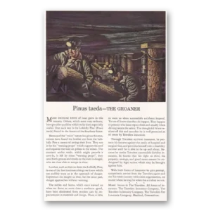 1941 Travelers Insurance Print Ad | Pinus Taeda
