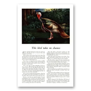 1943 Travelers Insurance Print Ad | This Bird