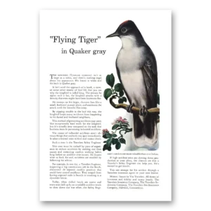 1943 Travelers Insurance Print Ad | Flying Tiger