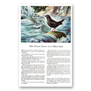 1944 Travelers Insurance Print Ad | Waterfall