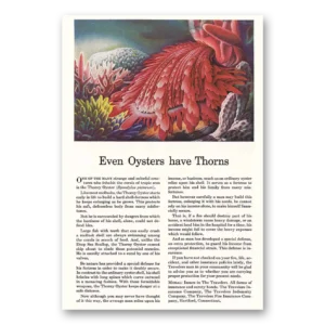 1944 Travelers Insurance Print Ad | Oysters
