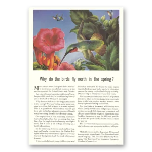 1944 Travelers Insurance Print Ad | Birds Fly North