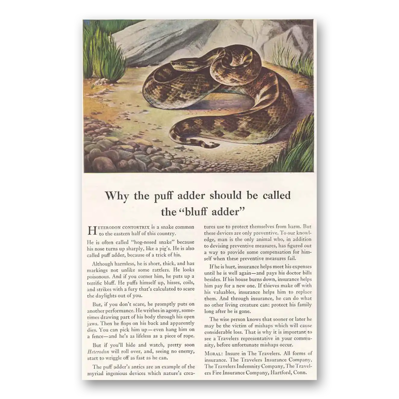 1945 Travelers Insurance Print Ad | Puff Adder