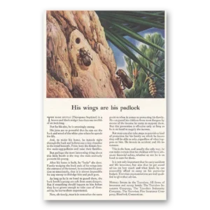 1945 Travelers Insurance Print Ad | His Wings