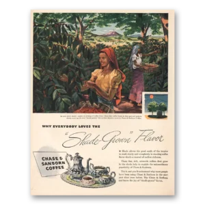 1946 Chase & Sanborn Coffee Print Ad | Shade Grown