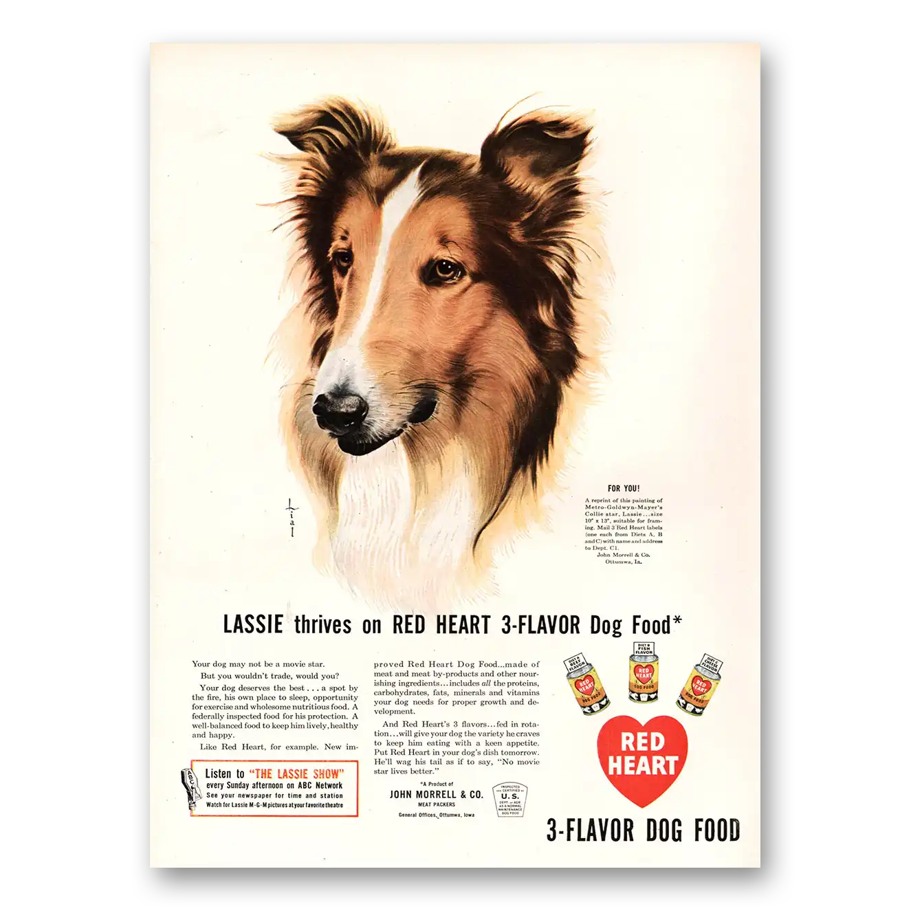 1947 Red Heart Dog Food Print Ad | Lassie Thrives