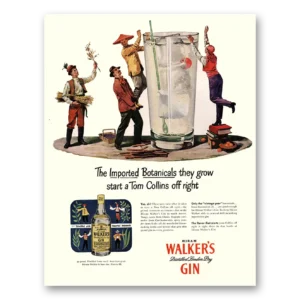 1947 Walkers Gin Print Ad | Botanicals
