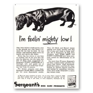 1948 Sergeants Puppy Capsules Print Ad | Feelin Mighty Low