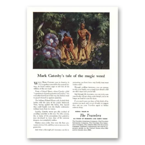 1948 Travelers Insurance Print Ad | Magic Weed