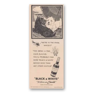 1949 Black and White Scotch Print Ad | Swim Whitey