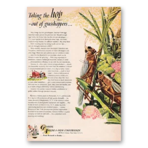 1949 General Aniline & Film Print Ad | Grasshoppers