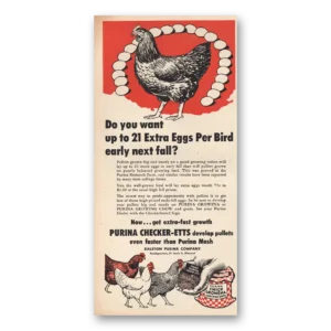 1949 Purina Checker Etts Print Ad | Eggs Per Bird