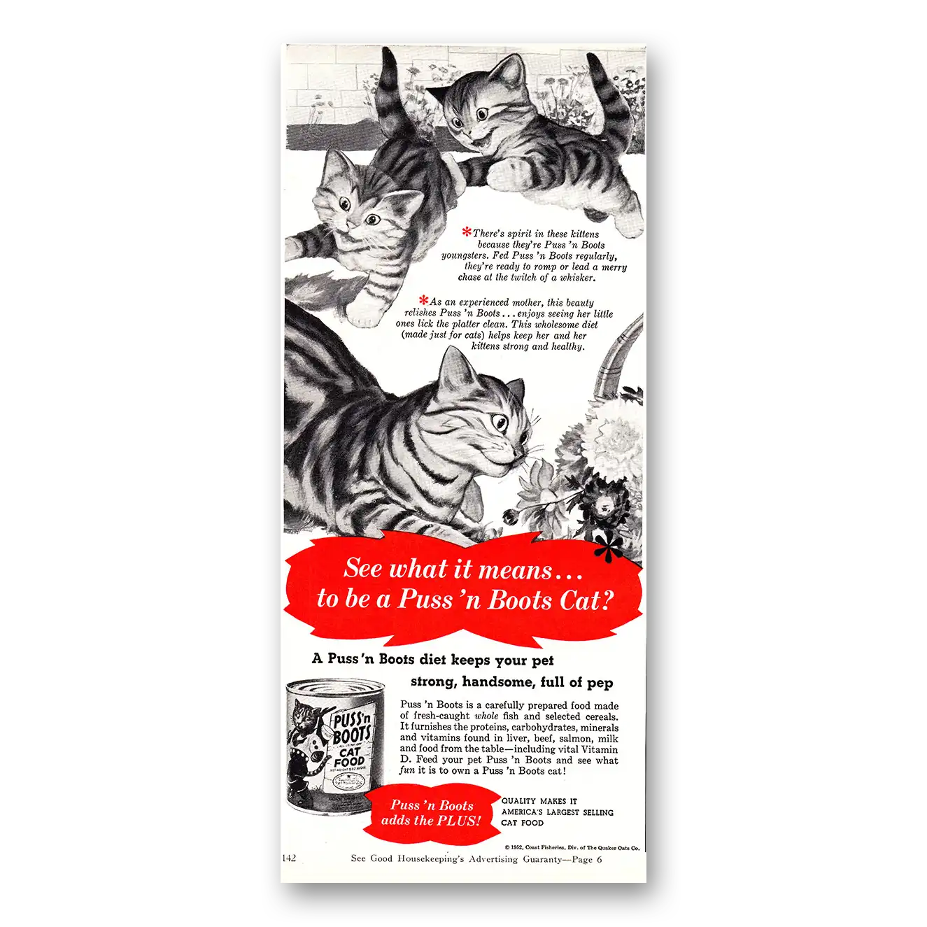 1952 Puss n Boots Print Ad | Cats Kittens
