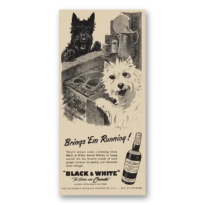 1955 Black and White Scotch Print Ad | Brings Em Running