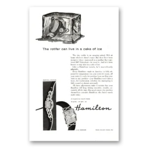 1955 Hamilton Watch Print Ad | Rotifer Can Live