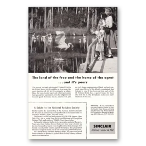 1955 Sinclair Print Ad | Egret