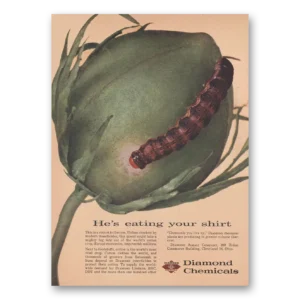 1956 Diamond Chemicals Print Ad | Eating Shirt