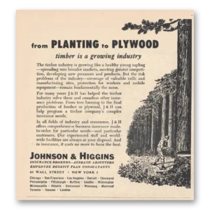 1956 Johnson & Higgins Print Ad | Planting Plywood