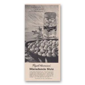 1960 Royal Hawaiian Macadamia Nuts Print Ad | Rare Nuts