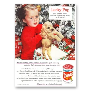 1961 Gaines Dog Food Print Ad | Lucky Pup