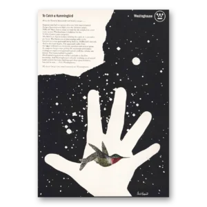 1963 Westinghouse Print Ad | Catch Hummingbird