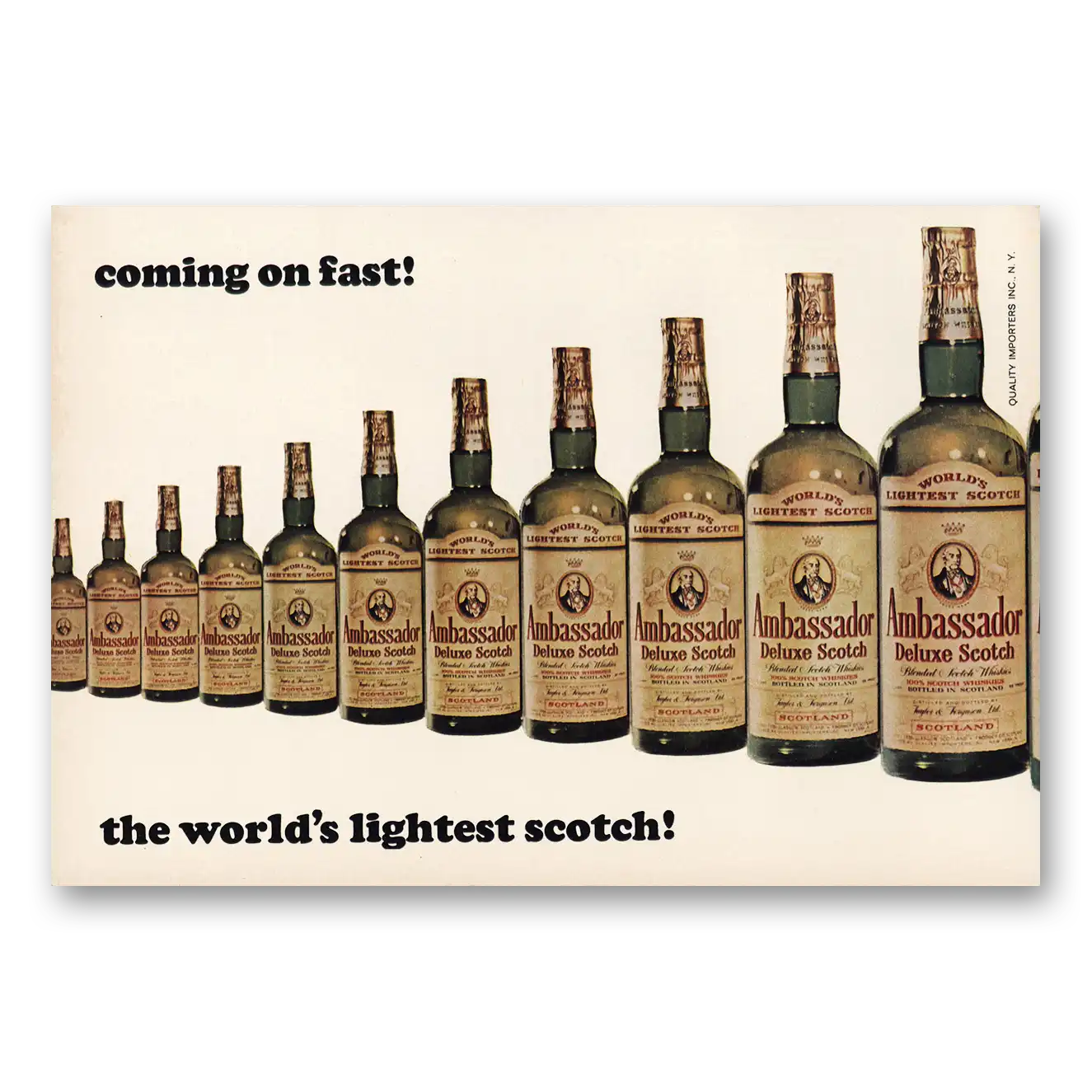 1964 Ambassador Scotch Print Ad | Coming On Fast